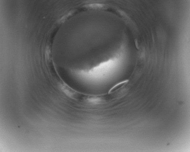 X0000082690669200702021329