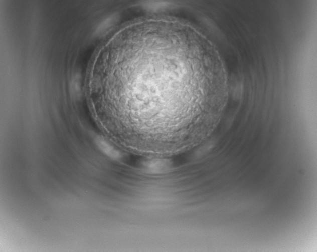 X0000082690670200702021329