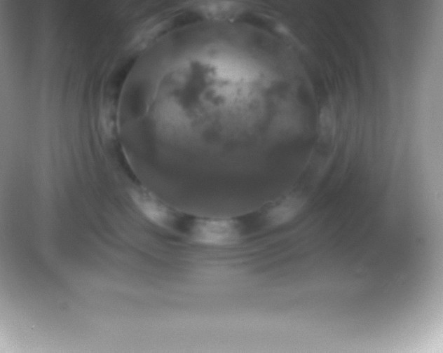 X0000082690671200702021329