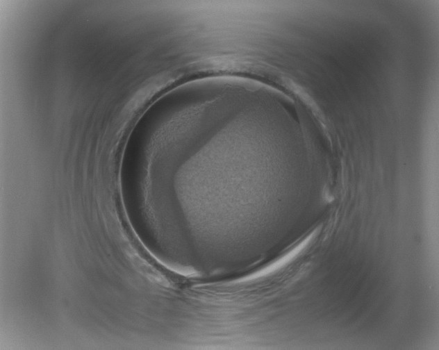 X0000082690673200702021328