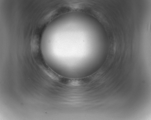 X0000082690710200702021327