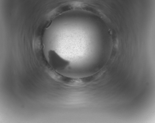 X0000082690715200702021327