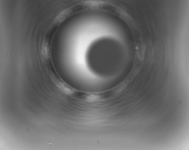 X0000082690718200702021327