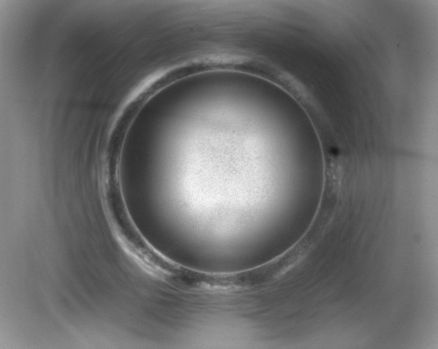 X0000082690726200702021326