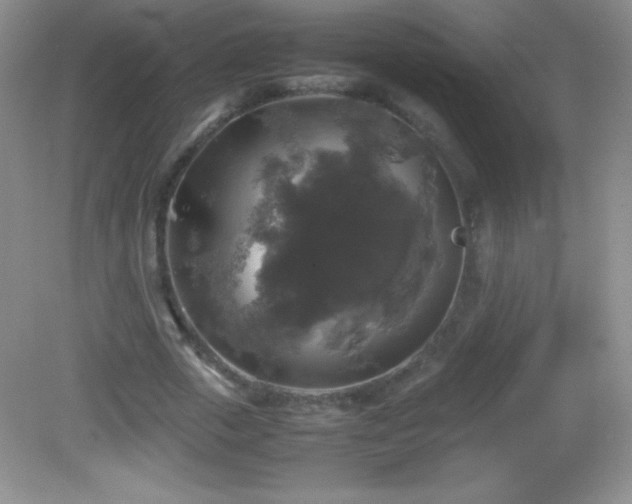 X0000082690729200702021326