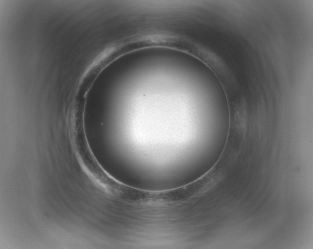 X0000082690730200702021326
