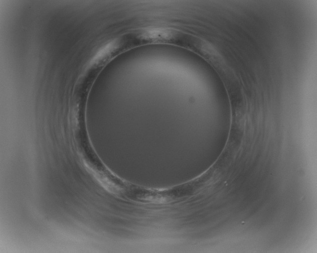 X0000082690735200702021327