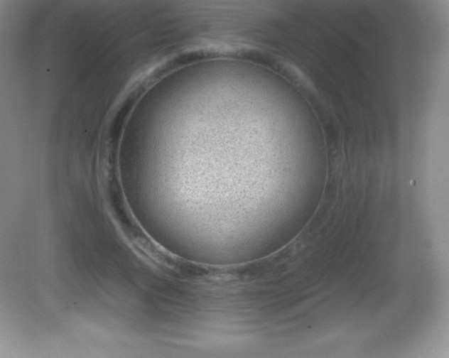X0000082690736200702021327