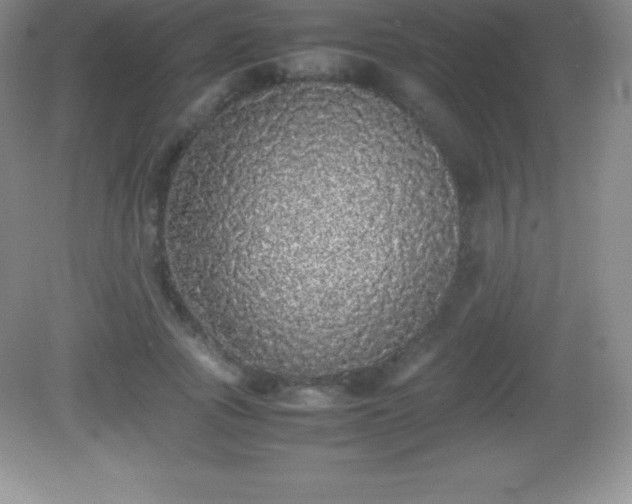 X0000082690737200702021327