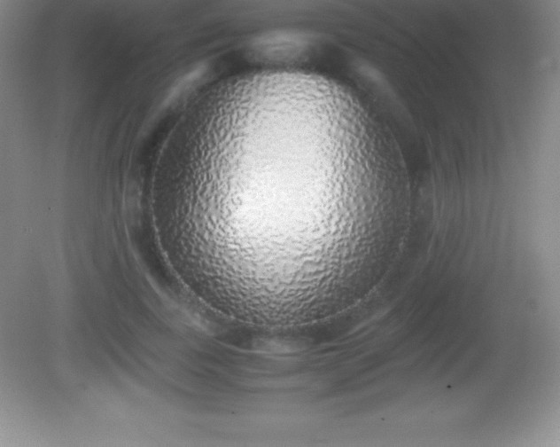 X0000082690739200702021327