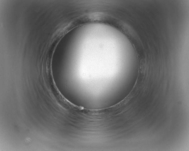X0000082690740200702021327