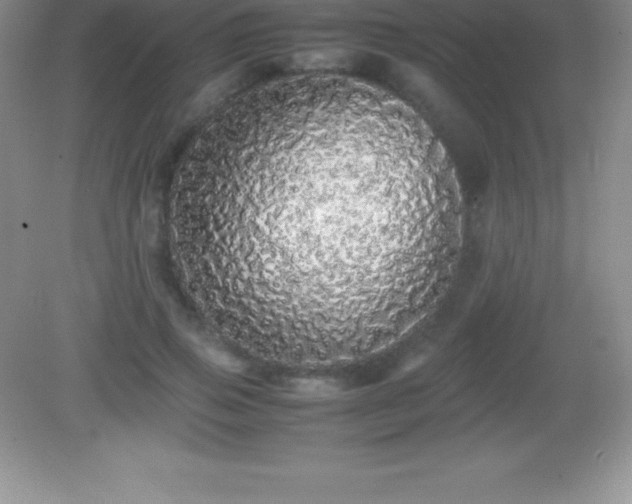 X0000082690741200702021327