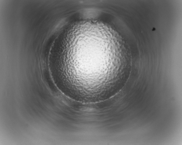 X0000082690743200702021327