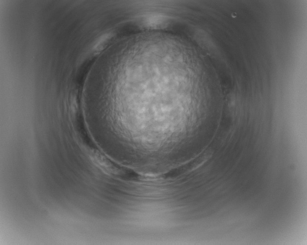 X0000082690746200702021327