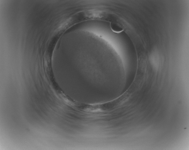 X0000082690747200702021327