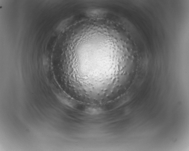 X0000082690749200702021327