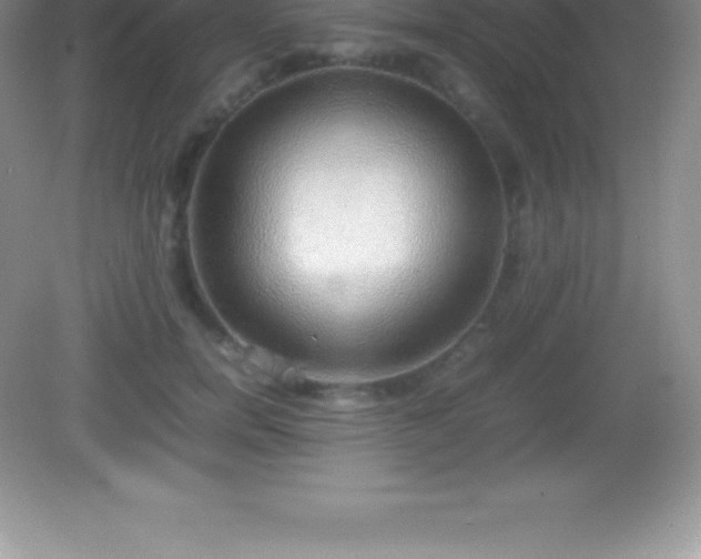 X0000082690750200702021327