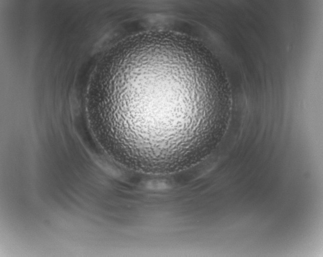 X0000082690751200702021327