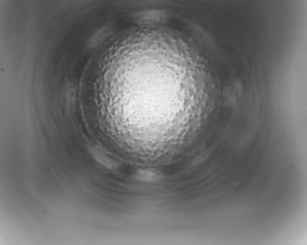 X0000082690753200702021327