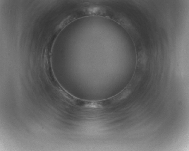 X0000082690754200702021327