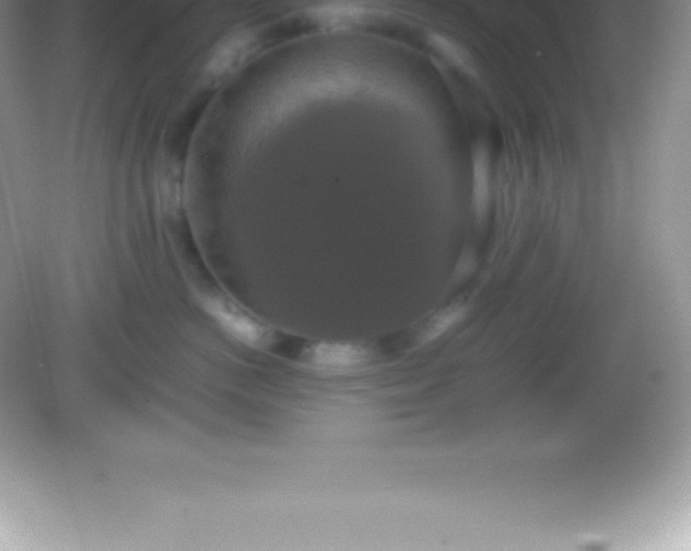 X0000082690766200702021327