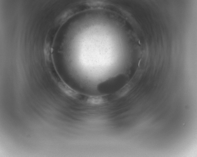 X0000082690767200702021327