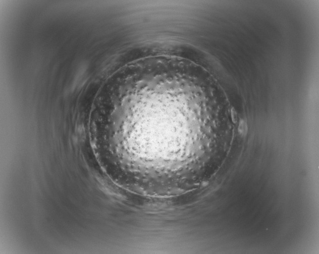 X0000082690771200702021326
