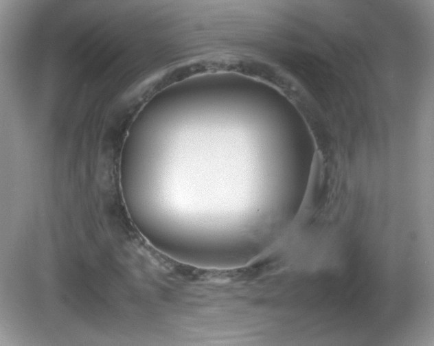 X0000082690773200702021326