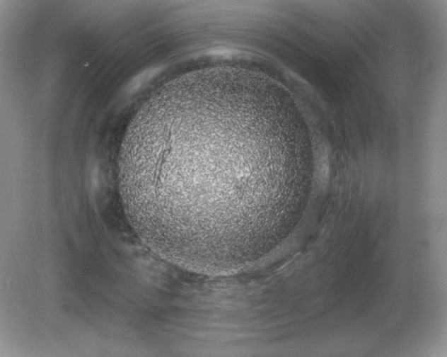 X0000082690776200702021326