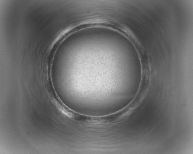 X0000082690781200702021326