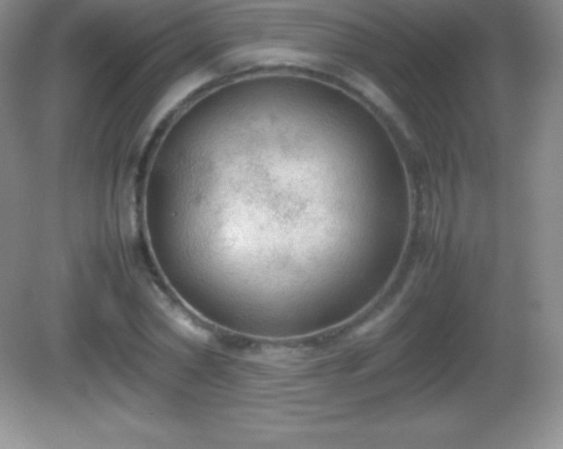 X0000082690782200702021326