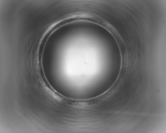 X0000082690784200702021326