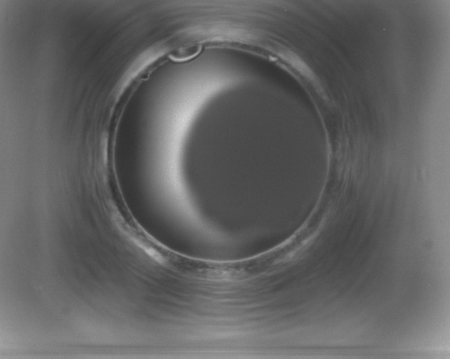 X0000082690790200702021326