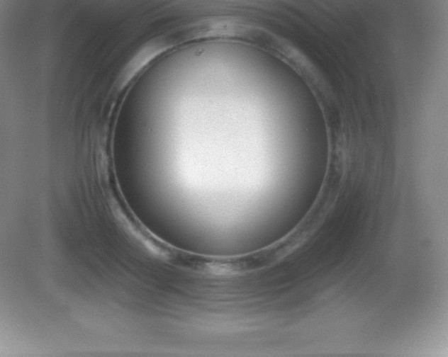 X0000082690794200702021326