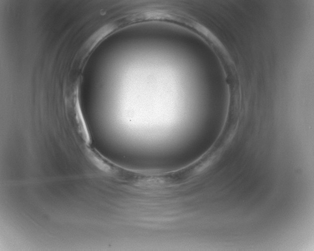 X0000082690801200702021326