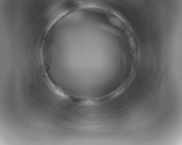 X0000082690806200702021326
