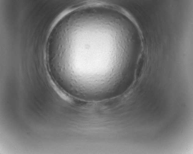 X0000082690811200702021326