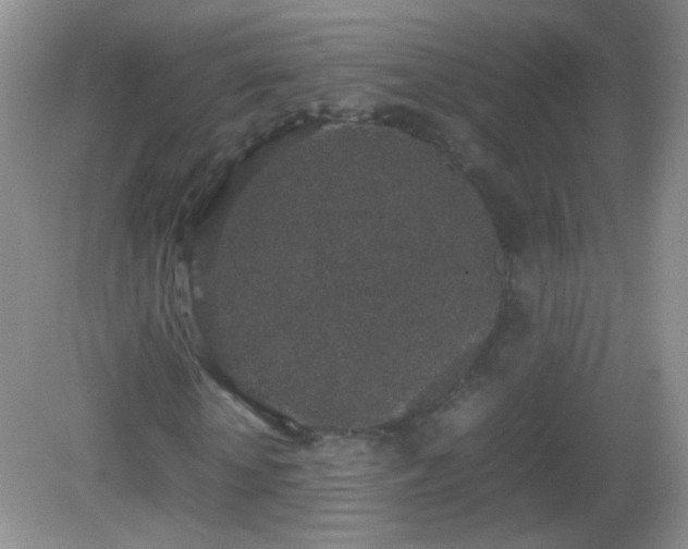 X0000082690818200702021325