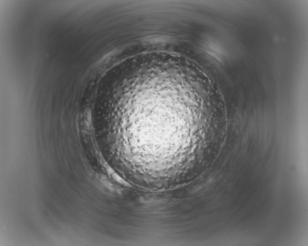 X0000082690821200702021325