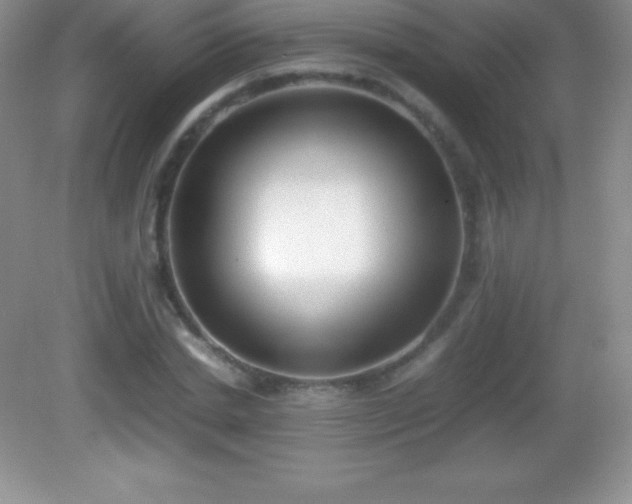 X0000082690830200702021325