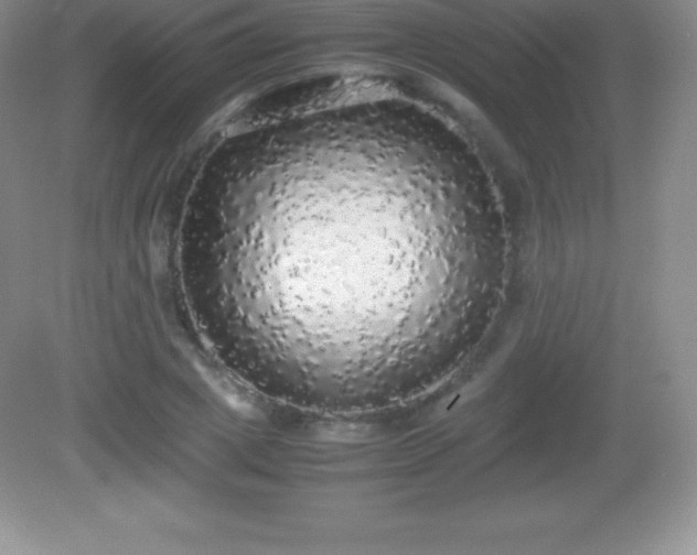 X0000082690833200702021325