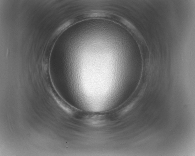 X0000082690841200702021325