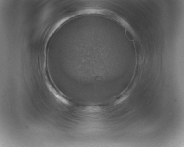X0000082690844200702021325