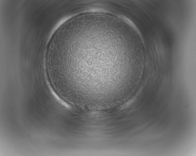 X0000082690847200702021325