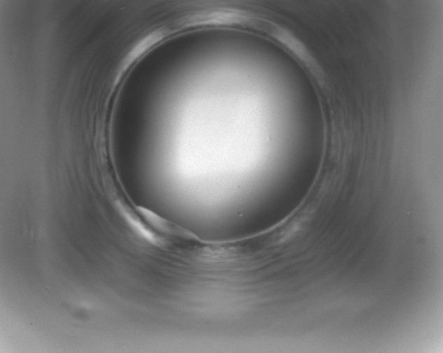 X0000082690850200702021325