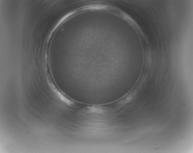 X0000082690852200702021325