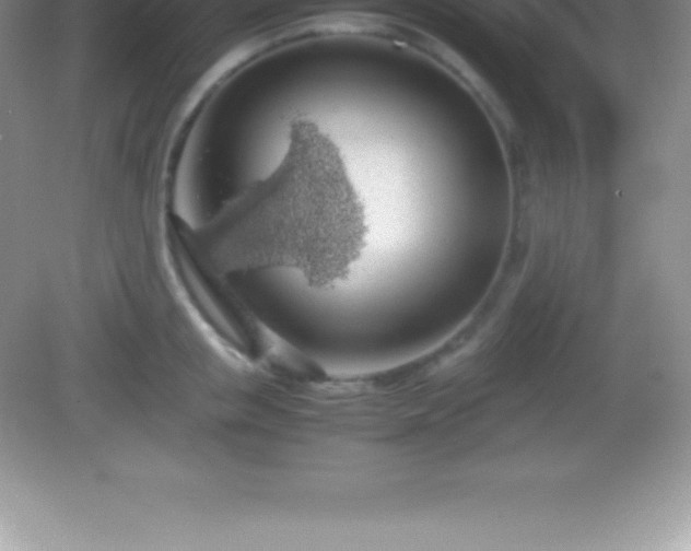 X0000082690853200702021325