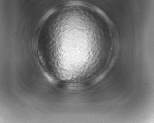 X0000082690857200702021325