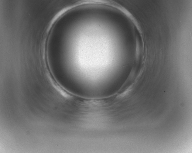 X0000082690862200702021325