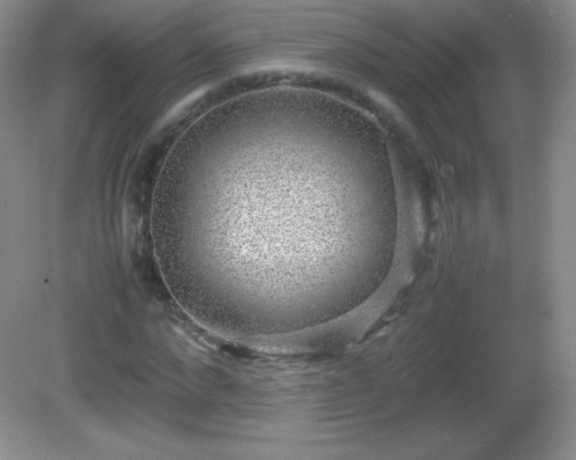 X0000082690872200702021325